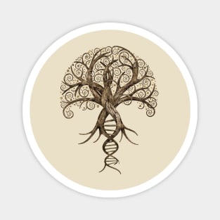 Tree of Life - Evolution Magnet